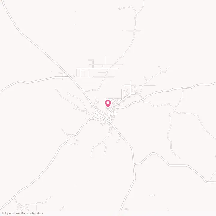Map of the flower delivery area in Tombstone, Arizona