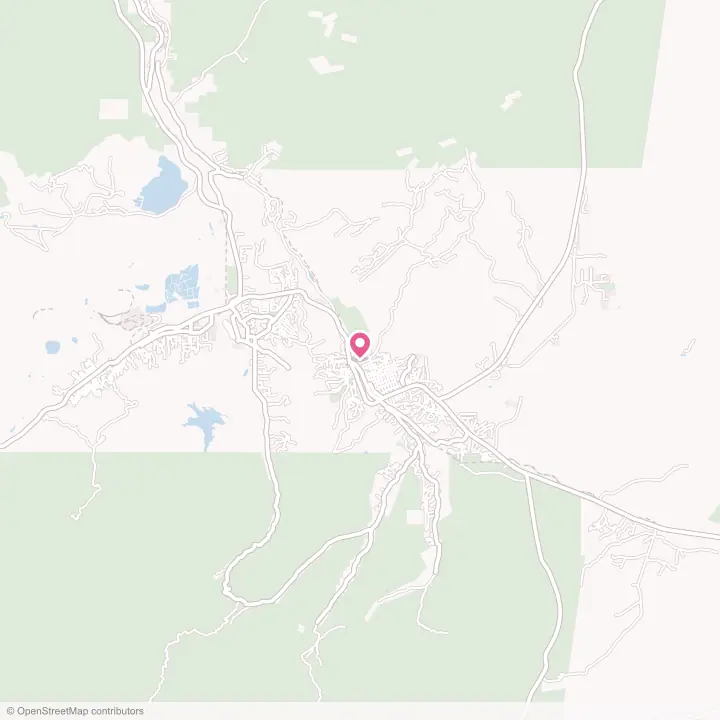 Map of the flower delivery area in Globe, Arizona