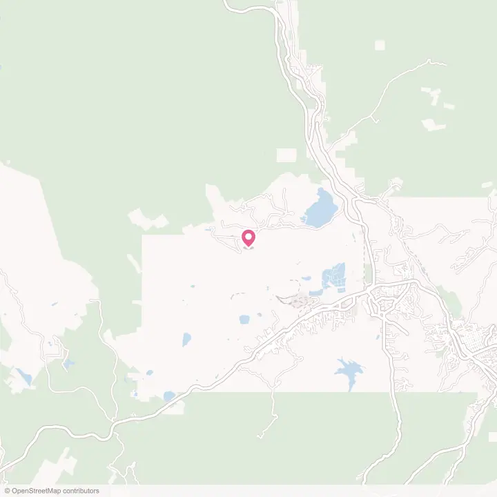 Map of the flower delivery area in Miami, Arizona