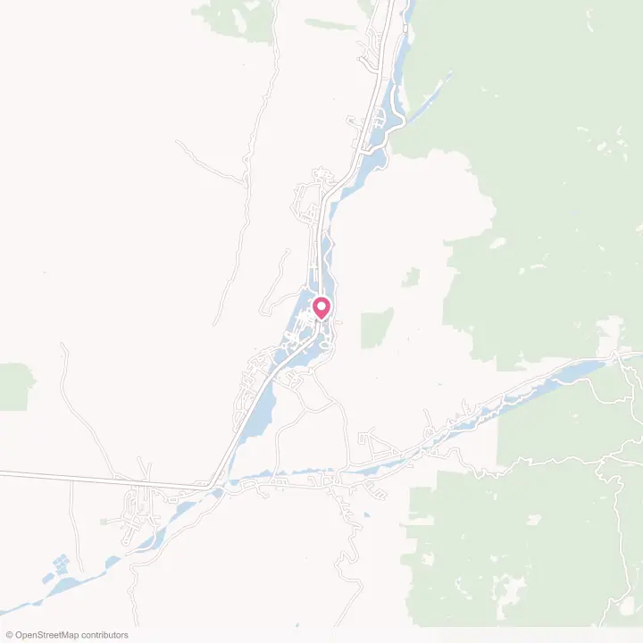 Map of the flower delivery area in Whiteriver, Arizona