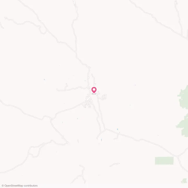 Map of the flower delivery area in Cibecue, Arizona