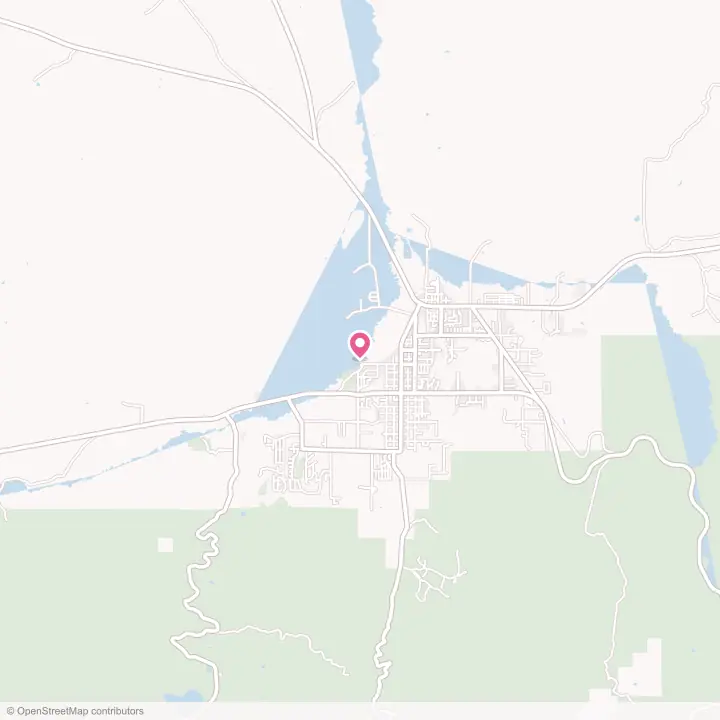 Map of the flower delivery area in Springerville, Arizona